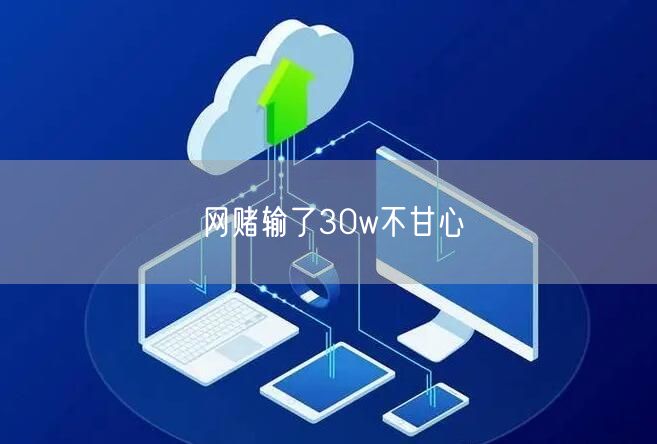网赌输了30w不甘心