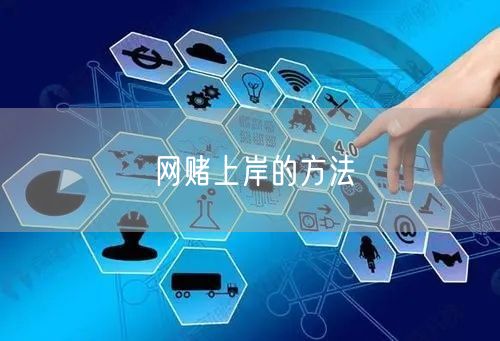 网赌上岸的方法