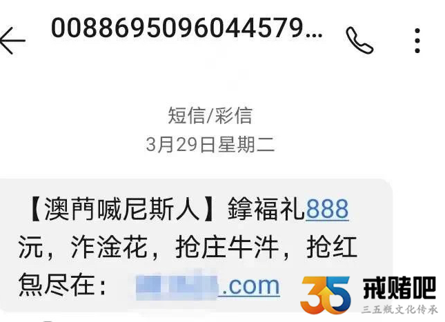 因为一条短信，我输19万，赌徒还能回头吗？